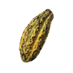 Cocoa Beans and Cocoa Fruits on white background.