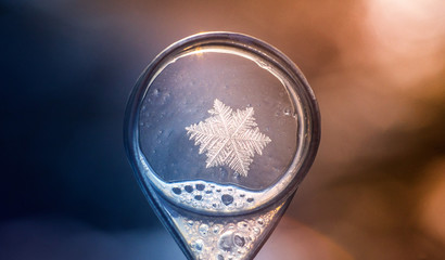 Frozen ice flower in a soap bubble
