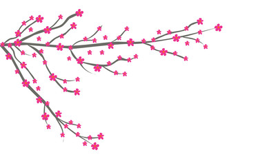 Ramas de árbol con flores rosas.