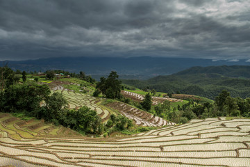 Terraced Paddy Field in Mae-Jam Village , Chiang Mai Province ,