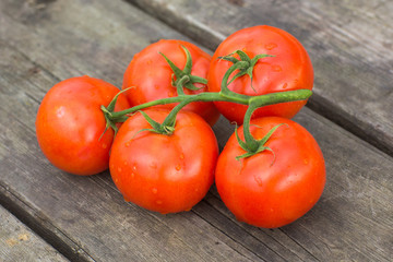 Tomatoes on a branch. Tomatoes on the vine and on a brown wooden background. five tomatoes.