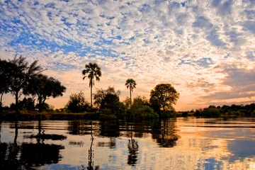 Raamstickers The Zambeze river at sunset, Zambia © Delphotostock