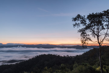 Fototapeta na wymiar Landscape of Morning Mist with Mountain Layer at Mae Yom National Park, Phrae province.