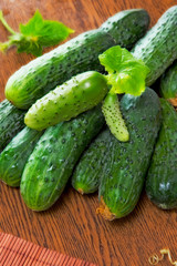 cucumbers