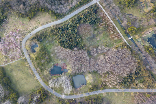 aerial photo of park