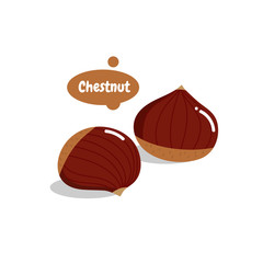 Chestnut isolated vector. Basic RGB