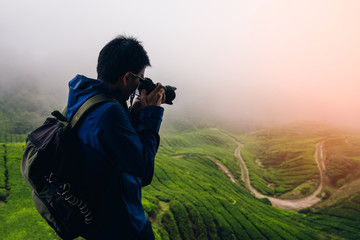 Young asian backpacker traveling into tea fields with mist. Young man traveler take a photo of mountain tea field with foggy, Enjoying tea plantations in Cameron Highlands near Kuala lumpur Malaysia