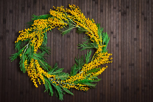 Wreath of mimosa on a brown background