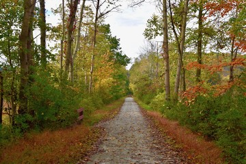 Scenic rails-to-trails path in autmun
