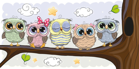 Obraz premium Cute Owls is sitting on a brunch
