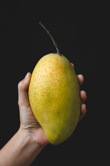 Ripe mangoes on the old wood