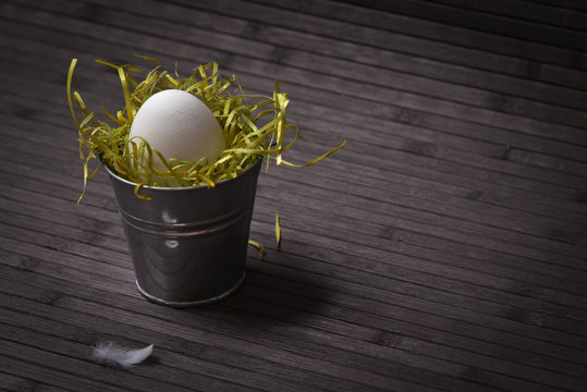 nest in a bucket