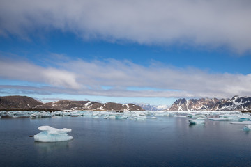 Fototapeta na wymiar Die arktische Wildnis - Grönland