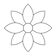 flower jasmine ornament decoration delicate
