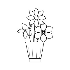 flowers jasmine frangipani in vase decoration ornament