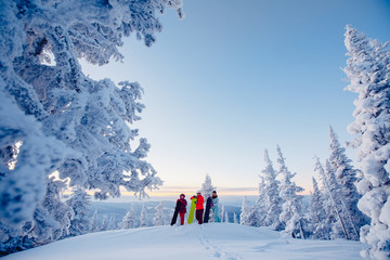 Snowboard. Team of girls people watching sunrise surrounded by snow and fir trees, mountains. Concept travel, ski resort, Freeride FRIENDS