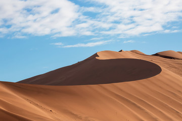 Fototapeta na wymiar Spine of the Desert