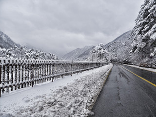 Snow-covered forest road in mountains. Seoraksan National Park. South Korea.