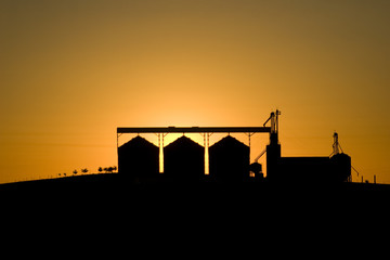 Silhouette of grain silos in the sunset. Curitibanos, Santa Catarina / Brazil