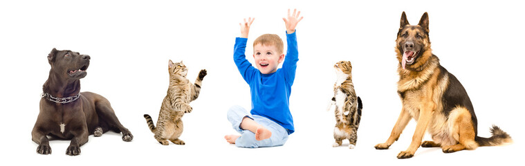 Group of playful pets and cheerful child together, isolated on white background