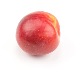 Plum red orange isolated on white background one fresh and glossy.
