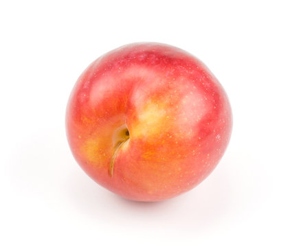 One plum red orange isolated on white background fresh and glossy.