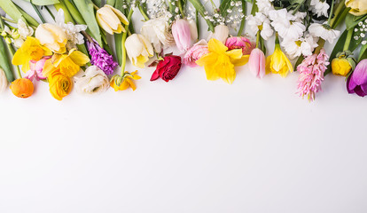 Flowers on a white background.