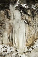 Vereister Waldrand mit Eiszapfen, Engelberg, Obwalden, Schweiz