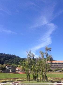 cielo ladeado