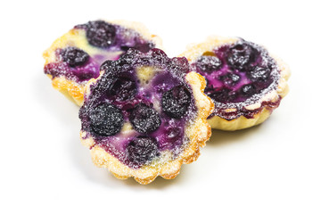 Blueberry tart, pie, tartlet with vanilla custard.
