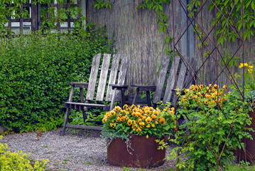Old garden armchairs and flowerpot with pansies.