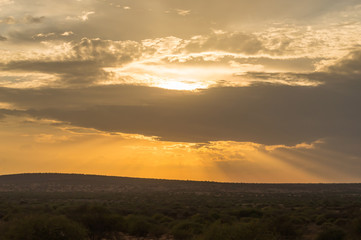 Sunset on the hills and a bed of palm trees in the Amboseli in Kenya