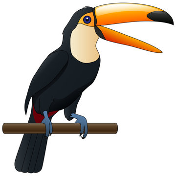 Happy cute cartoon toucan. Vector illustration