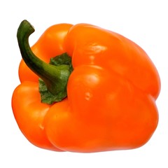 Paprika red yellow green tail.