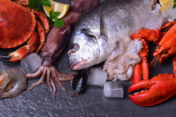 The freshest seafood for every taste