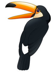 Happy cute cartoon toucan. Vector illustration