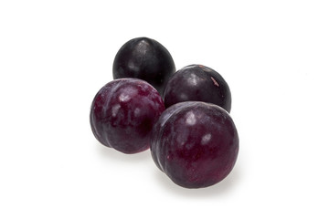 Plum Fruit