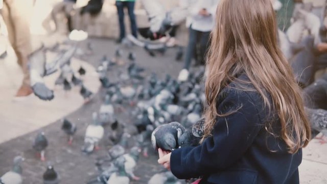 Birds try to eat from little girl's hands. Slow motion. Child feeding two pigeons on her arms, flock in the background.