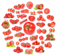 Tomato collection