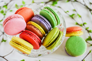 colored macaroons in glass vase and green branches, spring concept on white background