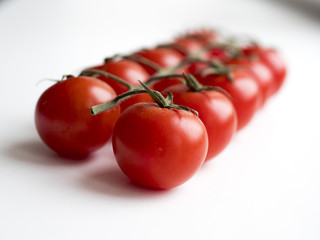 tomatoes on a white background