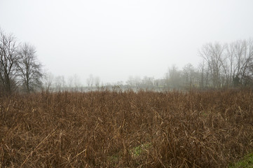 Pianura Padana winter landscapes