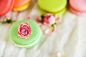 Delicate Fresh Colorful French Macaroons In Pastel Colors With Flowers Roses On A Light Textile Background