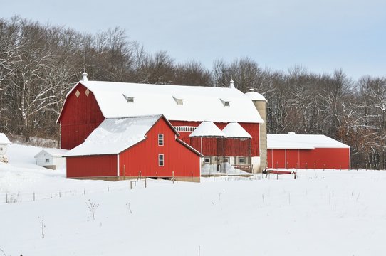 Red Farm Buildings