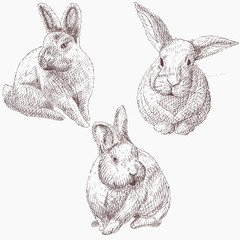 Easter rabbit bunny illustration vintage graphic