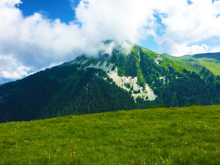 lagoon in mountain with forest