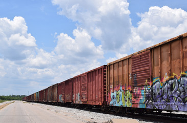 Fototapeta na wymiar Old rusty train cars with graffiti on sunny day.