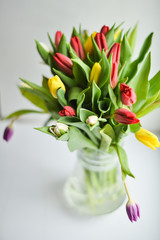 Tulip. bouquet of multicolored tulips on a light background