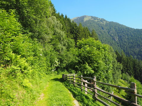 Südtirol - Meraner Höhenweg