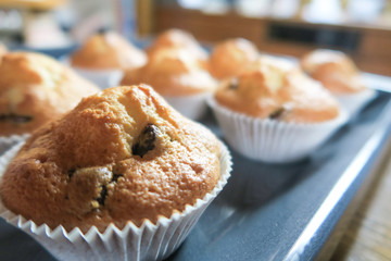sweet muffins with chocolate